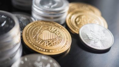 Garlinghouse Bullies Bitcoin while the Price of XRP Drops