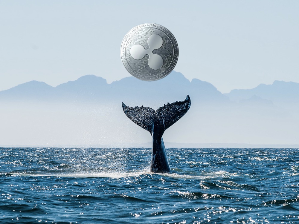 Ripple XRP Bulls Wrestle for Control, $0.80 Mark Is in Sight