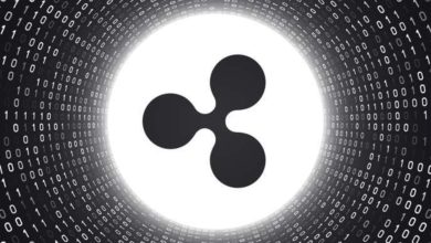 XRP Predictions- What Is to Come with the SEC v. Ripple Case