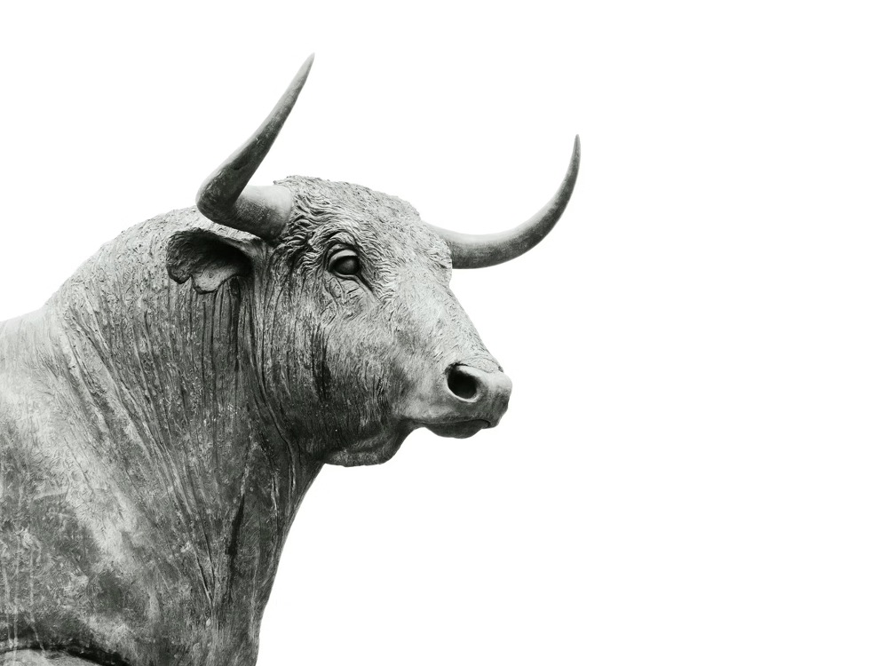 XRP Sees Momentum in the Market, Returning Coin's Bull Mode