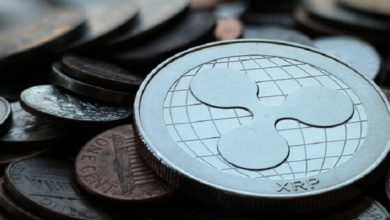 Why is Ripple XRP Whales Accumulating More Tokens 2
