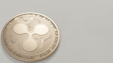 XRP to Make a Full Swing if Whales and Haulers Keep Momentum 2